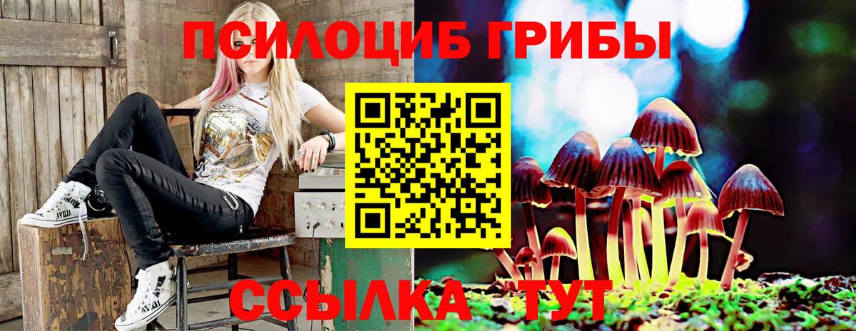 Псилоцибиновые грибы прущие грибы  купить   Пенза  Вход с VPN  Галлюциногенные грибы Psilocybine cubensis 
